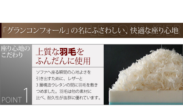 ���R���r�W�F,�R���r�W�G,�R���r���W�G,�R���r���W�F�̃\�t�@,�\�t�@�[